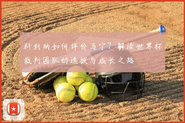 科利纳如何评价马宁？解读世界杯裁判团队的选拔与成长之路