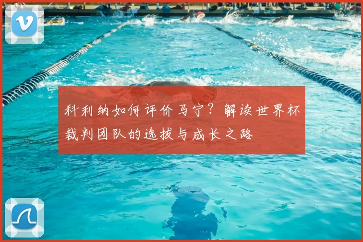 科利纳如何评价马宁？解读世界杯裁判团队的选拔与成长之路